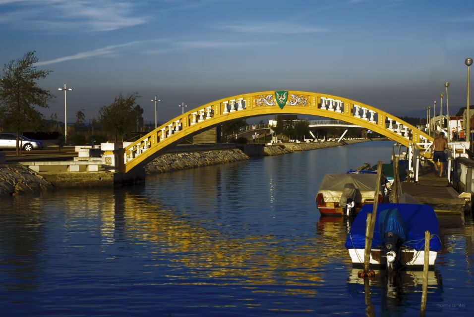 Aveiro: Half Day Tour With Boat Ride - Colorful Striped Houses of Costa Nova