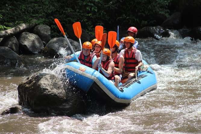 Ayung River Rafting All Inclusive Ticket - Inclusions of the Ticket