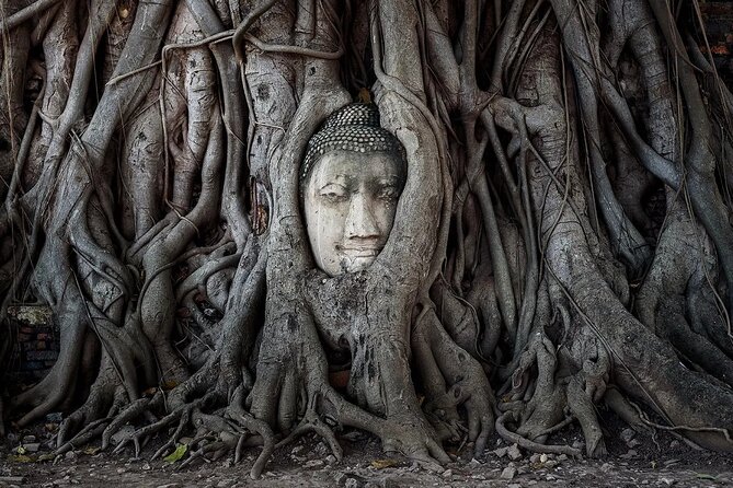 Ayutthaya Ancient Temples Tour With Heritage 100'S Years Boat - Transportation Options