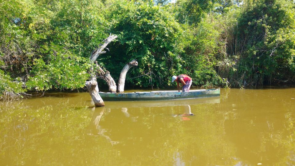 .Baby Turtle Release, Lagoon Boat Ride, and Crocodile Farm - Mangrove Tunnels and Lagoons