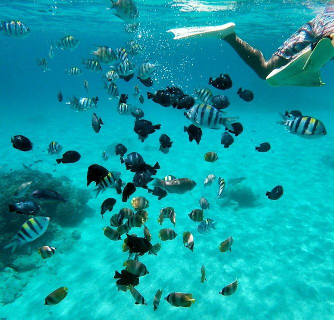 Bali: All-Inclusive Snorkeling at Blue Lagoon Beach - Inclusions