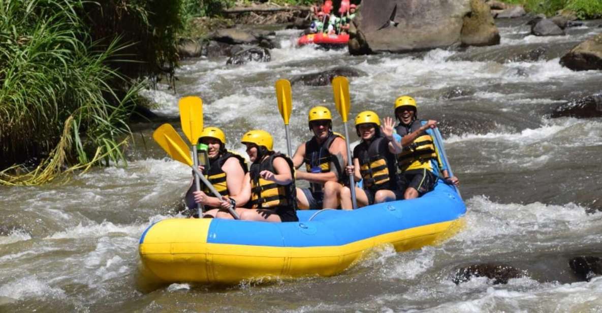 Bali: Ayung River White Water Rafting Adventure - Difficulty Level and Suitability