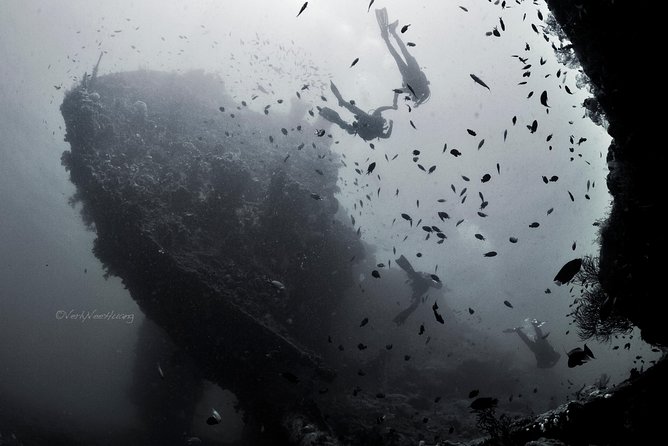 Bali Diving Day Trip-Manta Point/Tulamben Shipwreck-Fun Dive - Accessibility of the Tulamben Wreck Dive