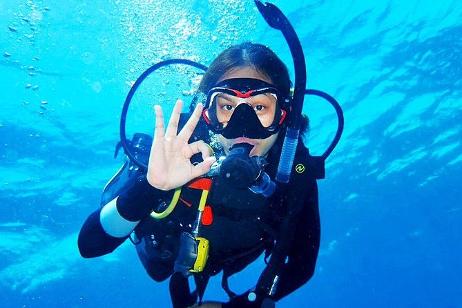 Bali Diving for Beginners: Tulamben Liberty Wreck - Included in the Package