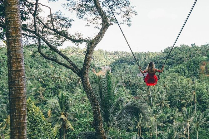 Bali Instagram Tour From Your Hotel (Private & Full-Day) - Inclusions