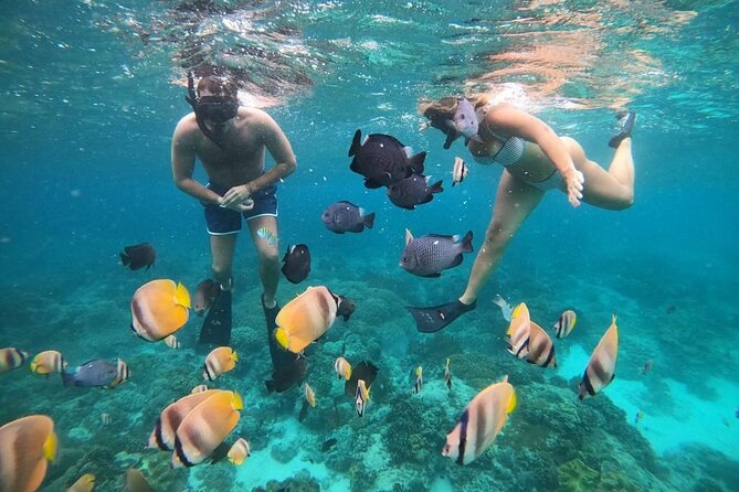 Bali Snorkeling At Bluelagoon Beach With Lunch Private Transport - Private Snorkeling Experience