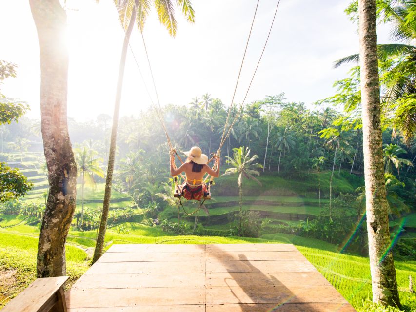 Bali: Ubud Adventure: Rice Terraces, Monkey Forest & Falls - Discover Sacred Monkey Forest