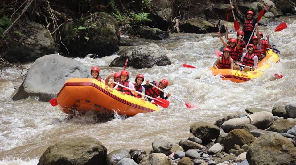 Bali: White Water Rafting Lunch & Private Transfer Included - Inclusions