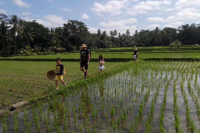 Balinese Cooking Class at Organic Farm - Organic Farming and Subak System