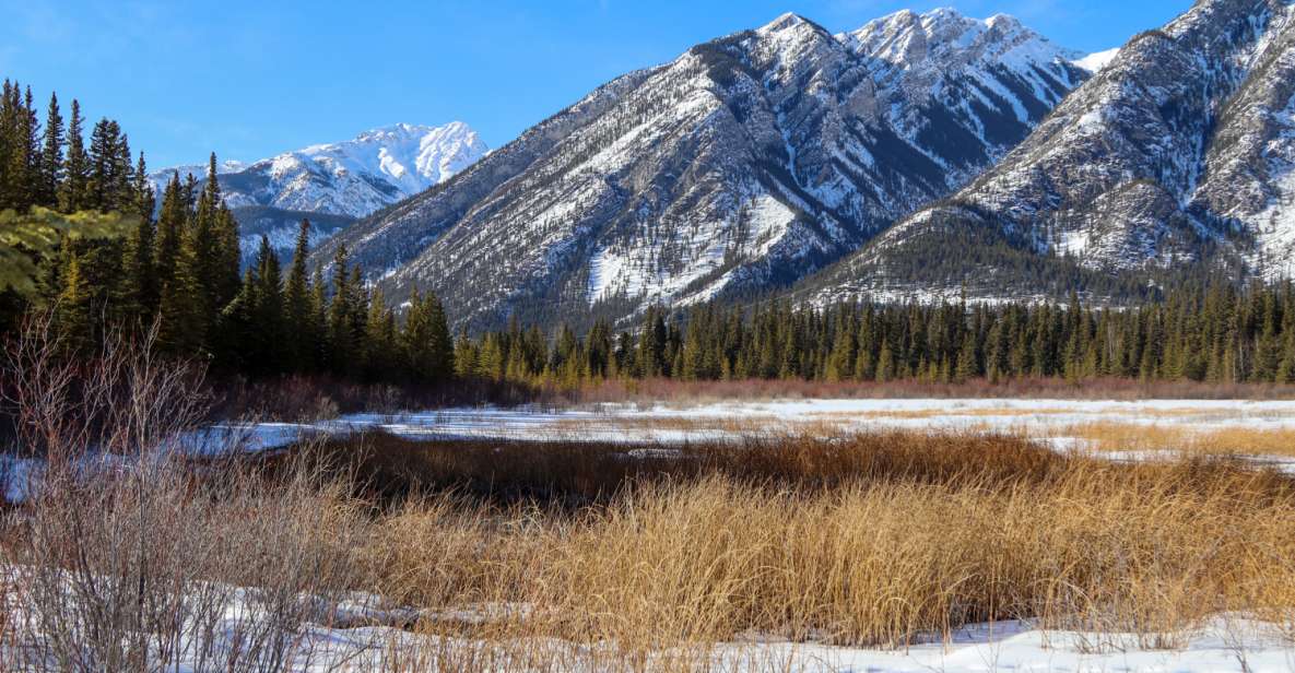 Banff: Historic Cave & Basin Self-Guided Walking Audio Tour - Tour Details