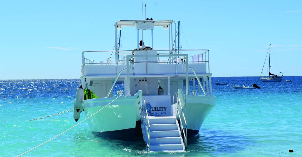 Barbados: Beach Day and Turtle Swim Experience - Boat Trip to Swim With Sea Turtles