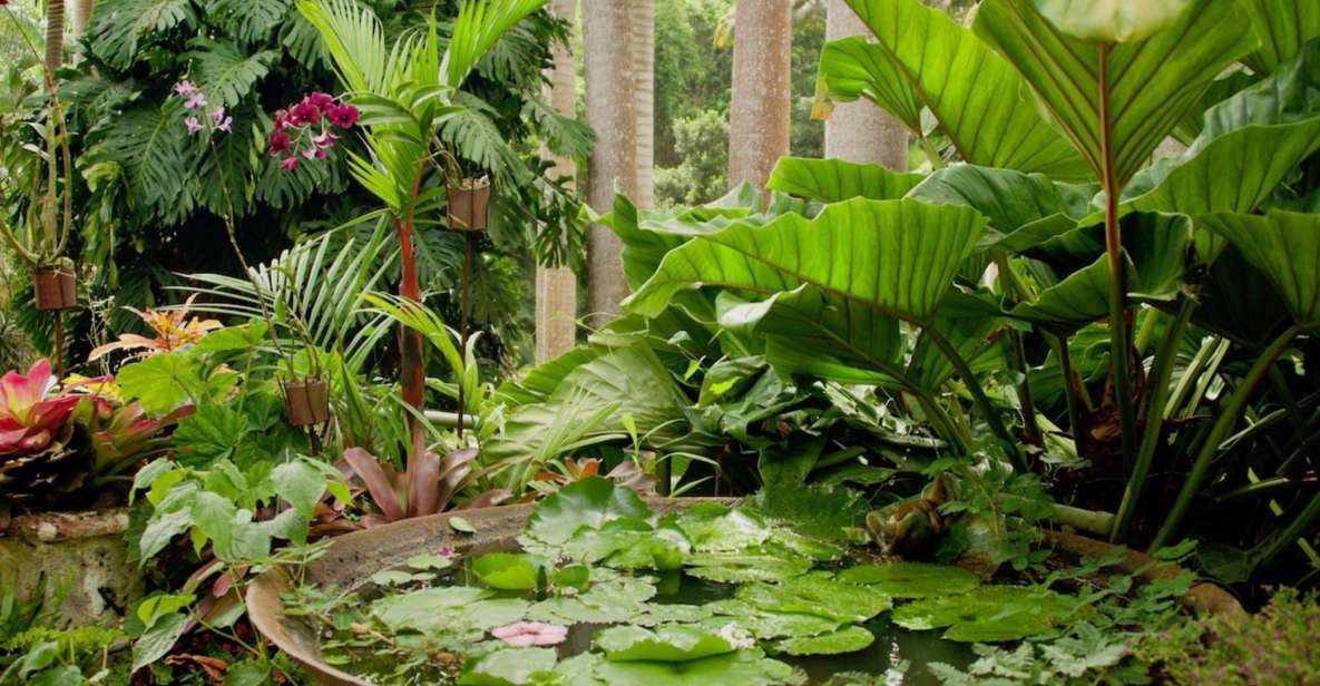 Barbados: Tour of Harrisons Cave & Huntes Gardens - Captivating Stalactites and Stalagmites