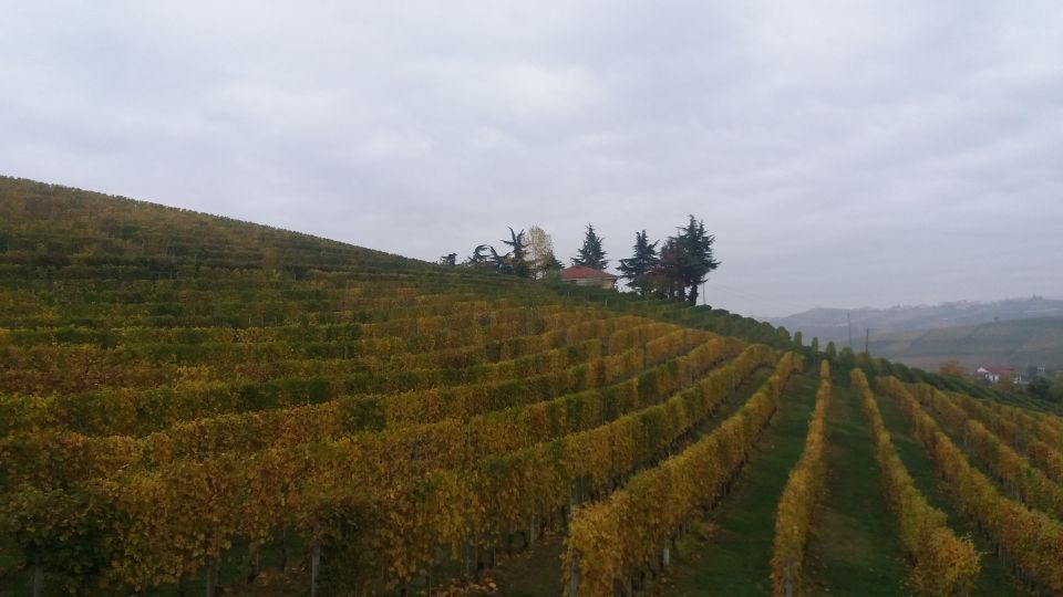 Barolo: Truffle Hunting and Wine Tasting - Duration and Inclusions