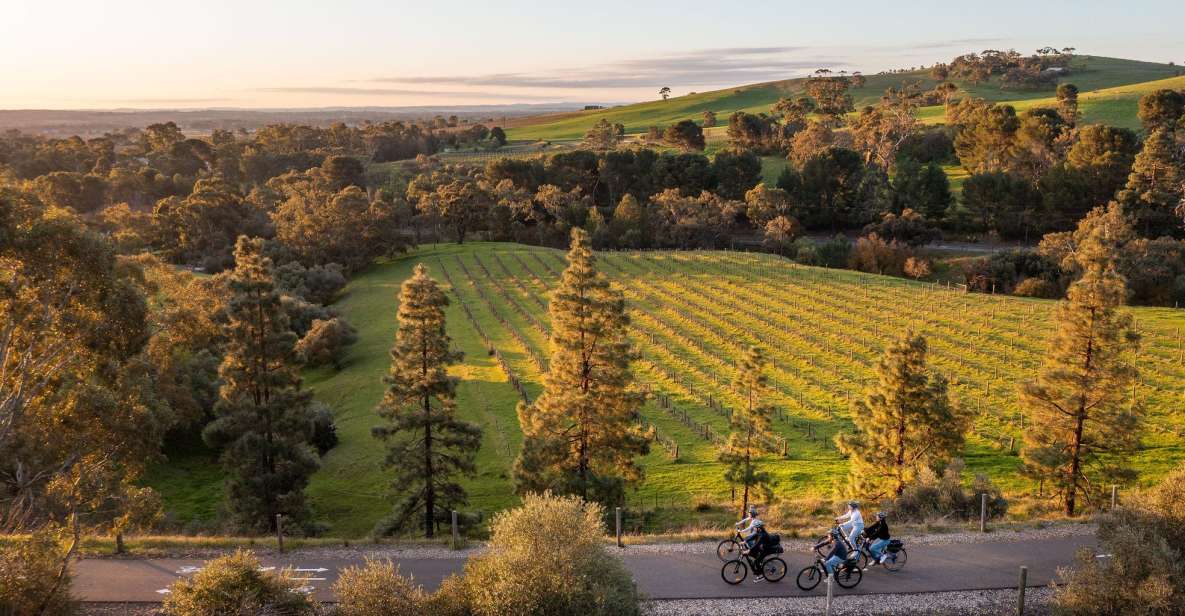 Barossa Valley: Gourmet Food and Wine E-Bike Tour - Highlights