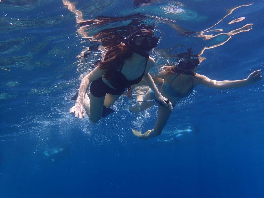 Basic Snorkeling at Menjangan Island - Snorkeling Spots