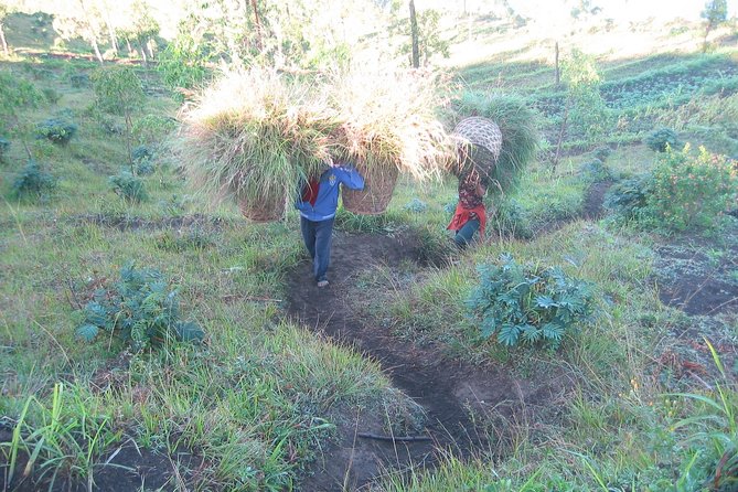 Batur Caldera Sunrise Trekking - Meeting and Pickup Details