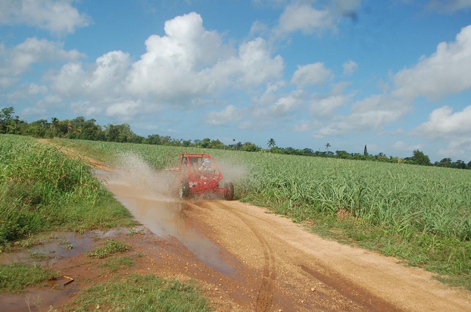 Bayahibe: Buggy Tour Amazing Half-Day - Pickup and Drop-off