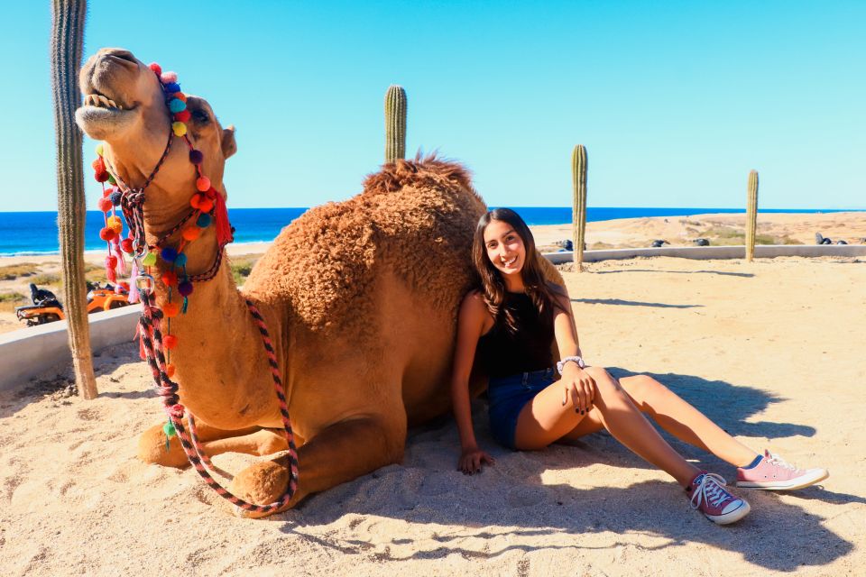 Beach Camel Ride & Encounter in Cabo by Cactus Tours Park - Tour Highlights