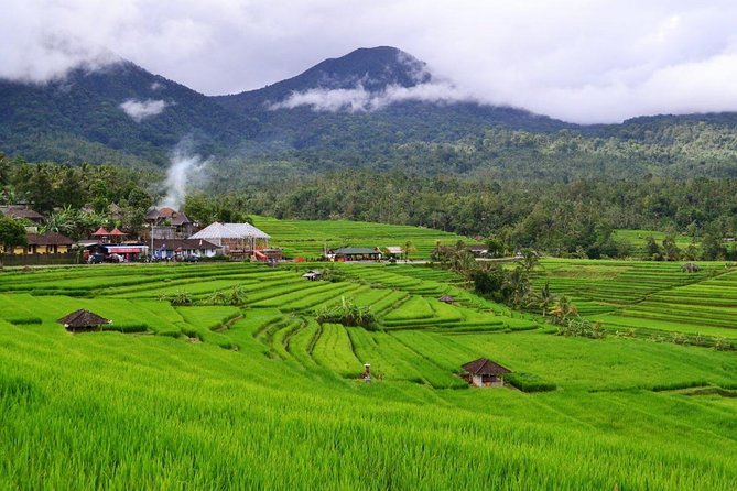 Beauty Of West Bali Tour (Private and All Inclusive) - Inclusions and Exclusions