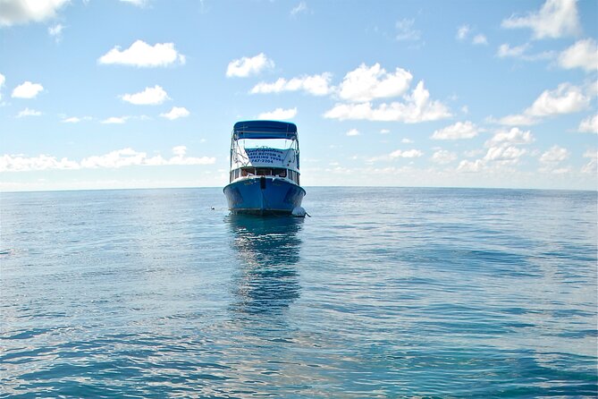 Bermuda Glass Bottom Boat Cruise - Highlights of the Tour