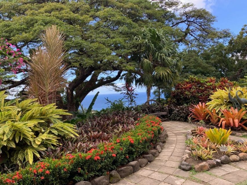 Best of St. Kitts Tour - Exploring Romney Manor and Caribelle Batik