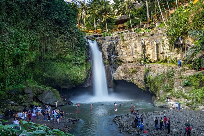 Best of Ubud 1-Day Private Tour - Included in the Tour