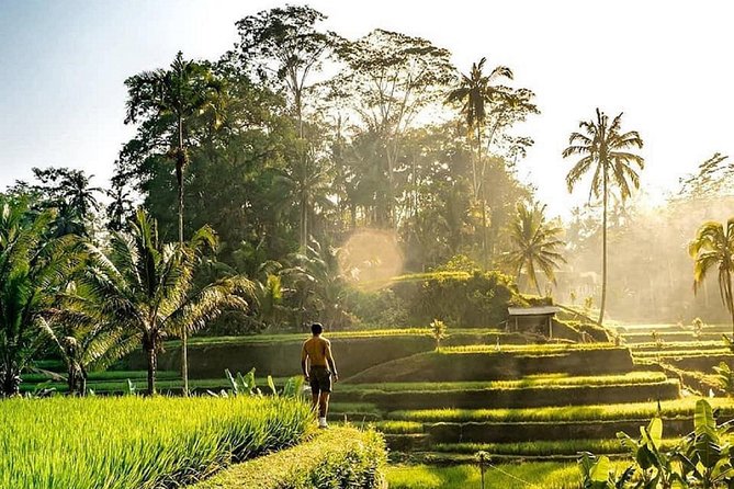 Best of Ubud - Full Day Tour + FREE WI-FI - Pickup Information