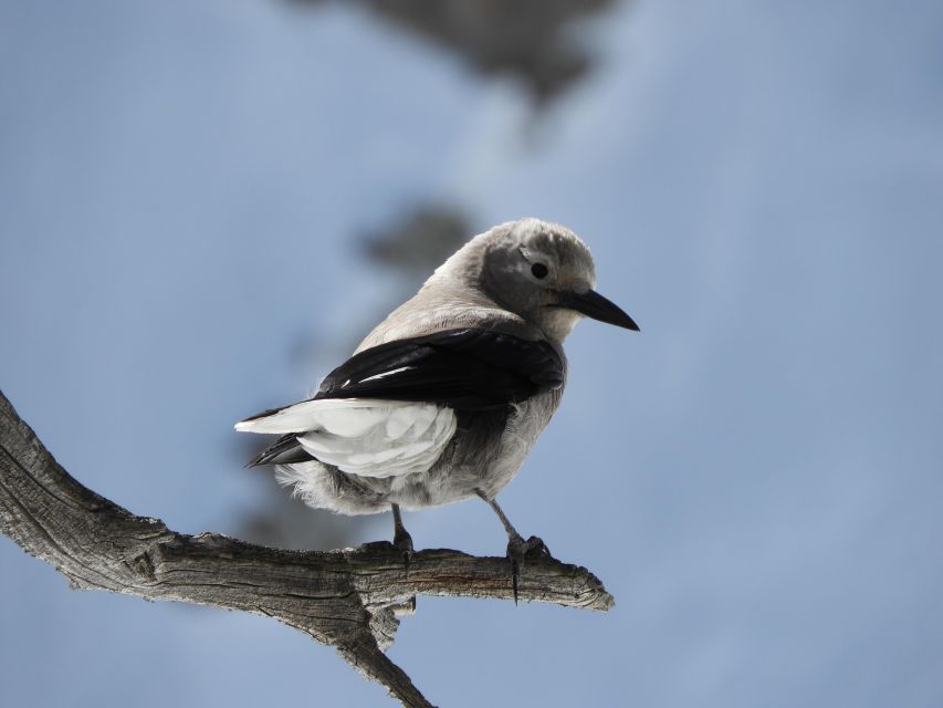 Birding Hike and Hot Spring Soak From Denver - Itinerary Overview