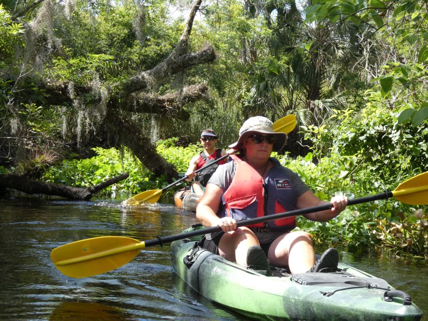 Blackwater Creek: Exclusive Nature Escape Kayak Adventure - Diverse Wildlife in Wetland Habitat