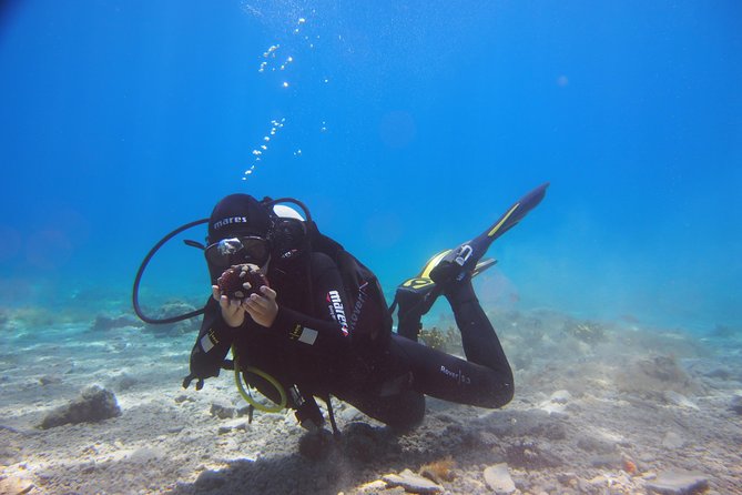 BRELA Bikini Dive *Try SCUBA DIVING* - Meeting Point and Location