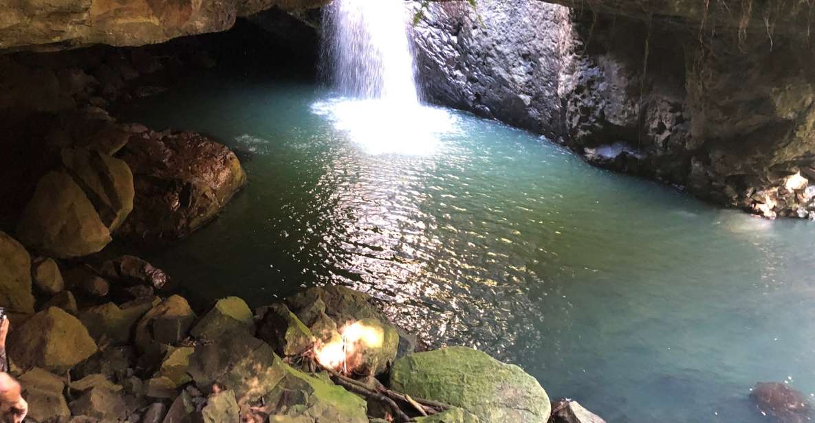 Brisbane: Springbrook and Mt Tamborine Rainforest Day Tour - Itinerary Details