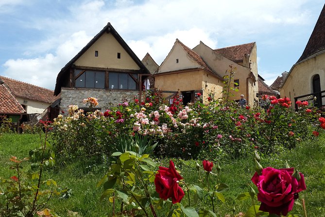 Brown Bear Sanctuary, Rasnov Fortress and Bran Castle Tour From Brasov - Liberty Bear Sanctuary