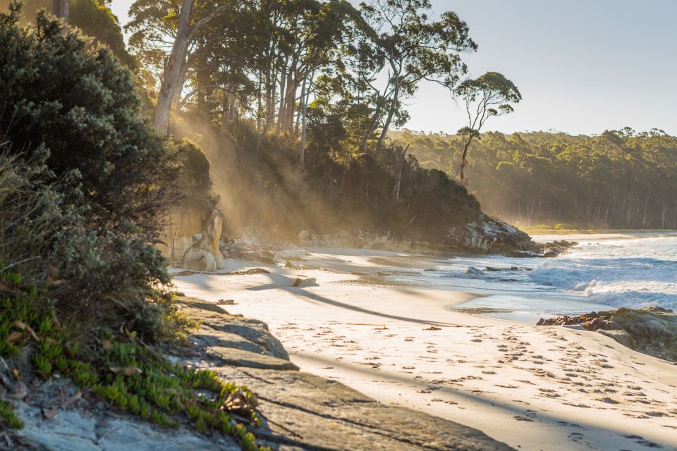 Bruny Island Day Trip From Hobart - Pricing and Duration