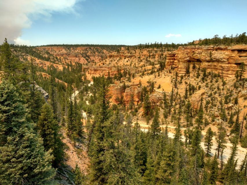 Bryce Canyon City: Red Canyon Horse Riding Day Trip W/ Lunch - Exploring Utahs Red Canyon