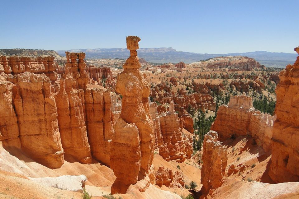 Bryce: Guided Sightseeing Tour of Bryce Canyon National Park - Highlights of the Tour