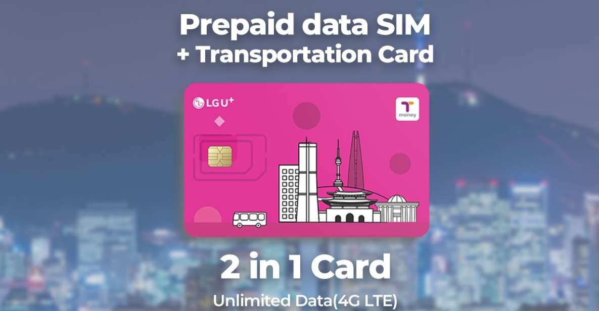 Busan Airport: Traveler SIM and Public Transportation Card - Dual Purpose: SIM and Transport