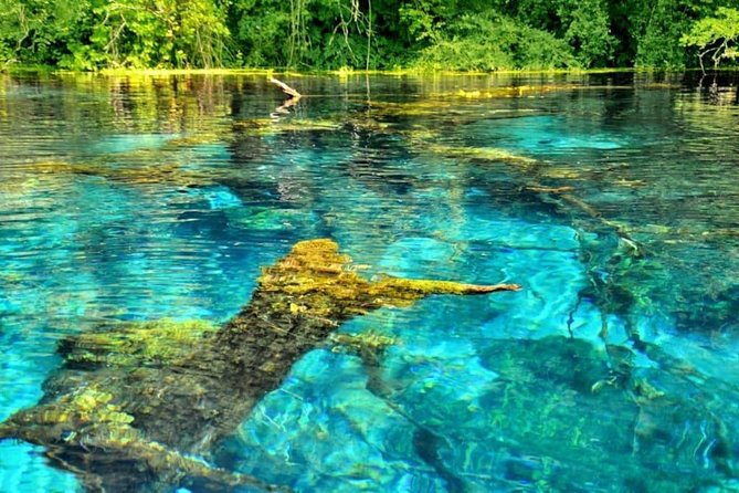 Butrint, Ksamil, Blue Eye, Lekuresi Castle. All-In-One Daytrip. - Meeting and Pickup Details