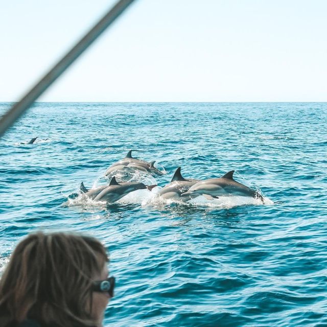 Byron Bay: Cruise With Dolphins Tour - Price and Duration