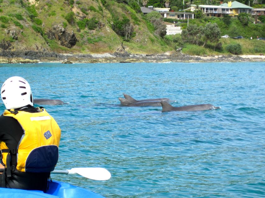 Byron Bay: Sea Kayak Tour With Dolphins and Turtles - Tour Highlights