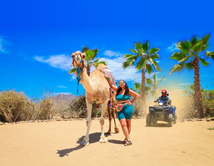 Cabo: ATV, Camel Ride, Mexican Lunch, and Tequila Combo Tour - Mandatory Face Masks and Optional Tour