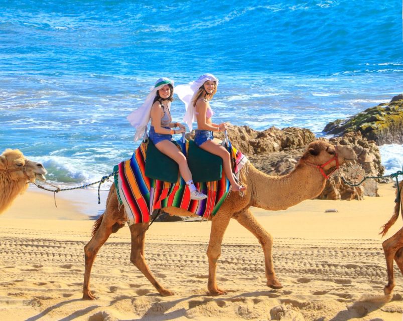 Cabo Beach: Desert Camel Tour With Mega Burrito & Tequila - Camel-Riding Experience