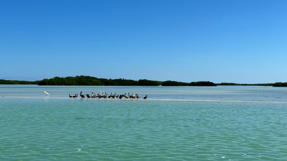 Cabo Catoche Snorkel And Fishing - Fishing Experience