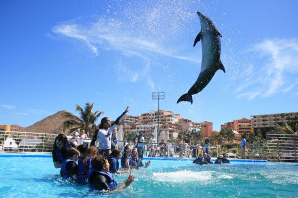 Cabo San Lucas: Dolphin Swim Class With Marine Specialist - Participant Suitability Considerations