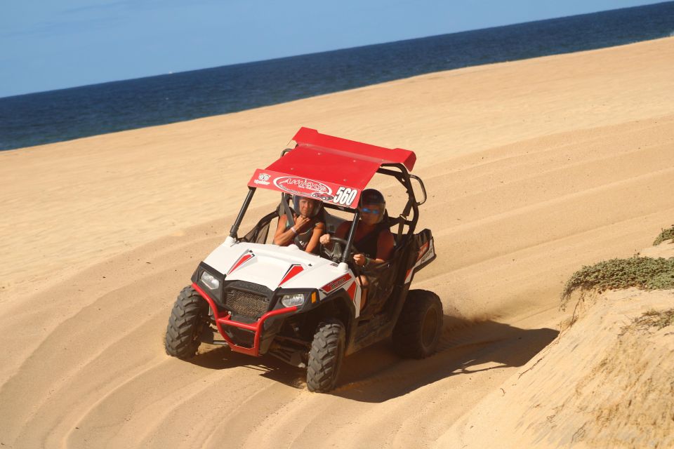 Cabo San Lucas: UTV Beach and Desert Excursion - Diverse Ecosystems