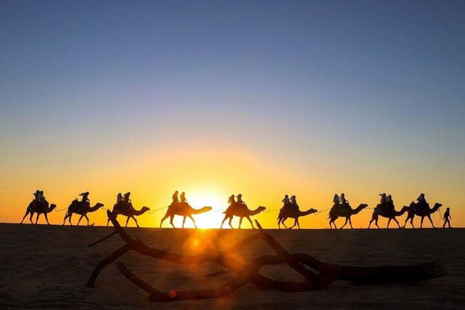 Cabo: Sunset Camel Ride and ATV Combo Adventure - Admire Majestic Waves and Spectacular Sunset Views