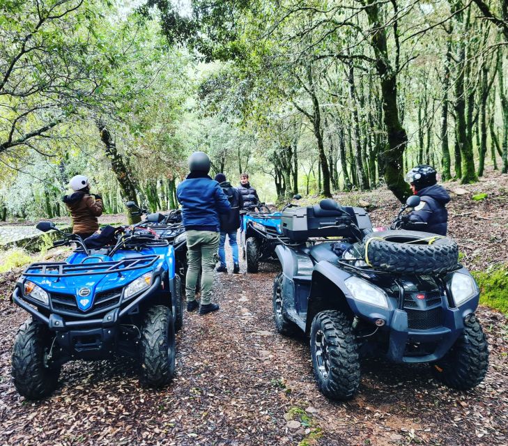 Cagliari: Waterfalls Quad-Atv Adventure From Domus De Maria - Activity Description