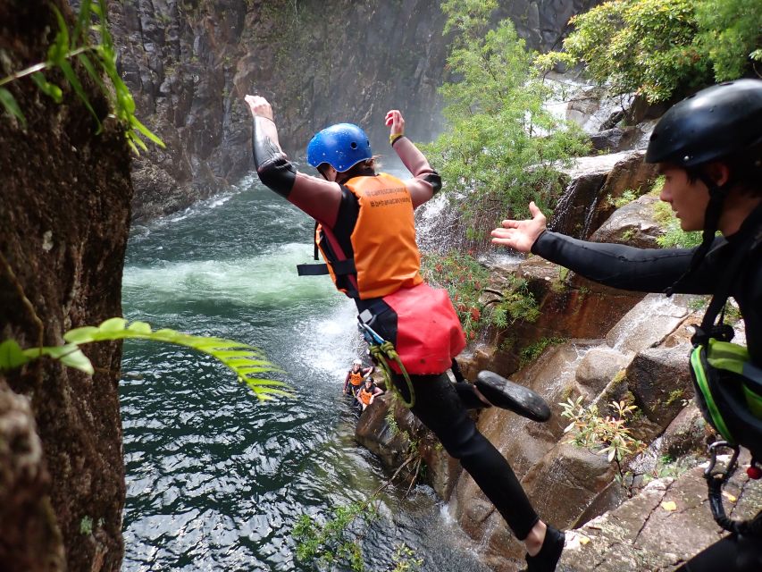 Cairns: Waterfalls Rainforest Experience - Pricing and Duration