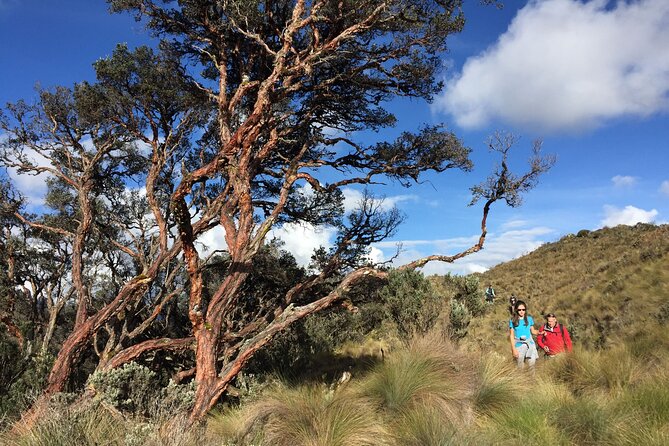 Cajas National Park Small-Group Tour From Cuenca - Cancellation Policies Explained