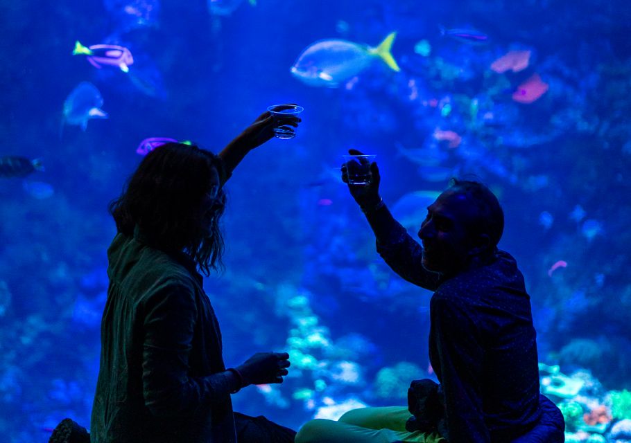 California Academy of Sciences NightLife Plus Admission - Inclusions in NightLife Plus Experience