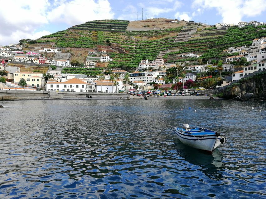 Camara De Lobos: 1.5-Hour Tour in a Tuk Tuk - Pickup and Dropoff Options